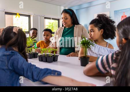 Adult female teacher with diverse schoolchildren explaining plant care at table with seed trays. Classroom, gardening, seedlings, pots, students, educ Stock Photo