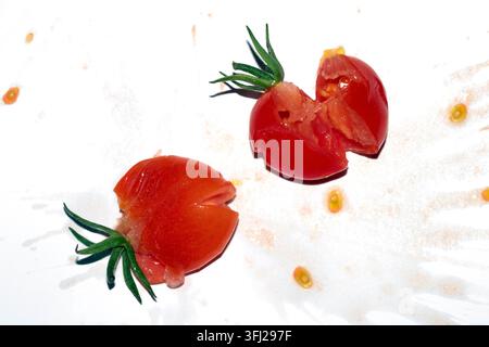 A squashed splattered and crushed broken fresh tomato with seeds Stock Photo