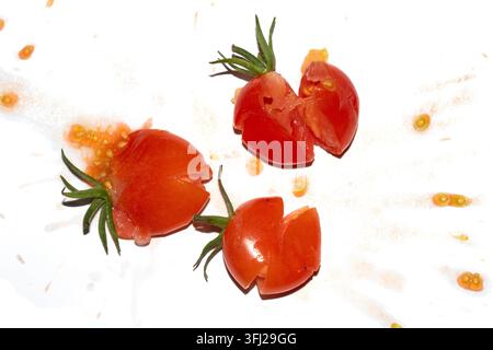 A squashed splattered and crushed broken fresh tomato with seeds Stock Photo