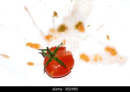 A squashed splattered and crushed broken fresh tomato with seeds Stock Photo