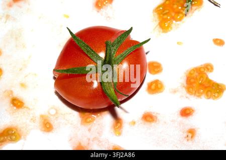 A squashed splattered and crushed broken fresh tomato with seeds Stock Photo