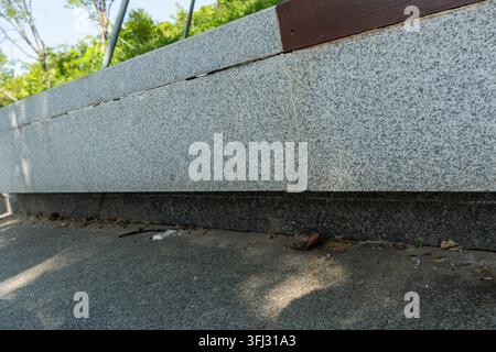 Snail resting on concrete sidewalk in sunny park. Stock Photo