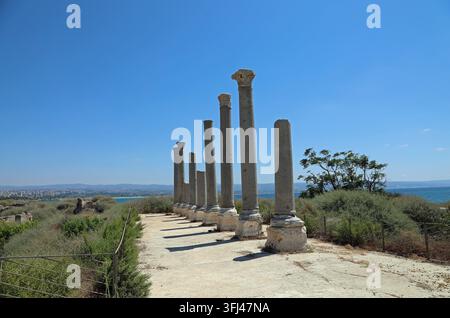 Phoenician and Roman city Tyre Lebanon Stock Photo - Alamy