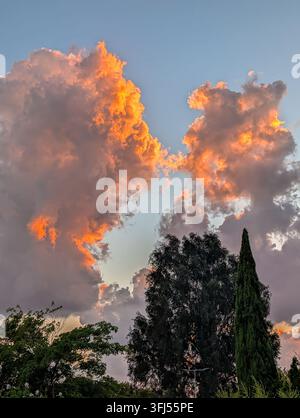 Clouds colored pink by the setting sun appear to exchange a keiss in the sky Stock Photo
