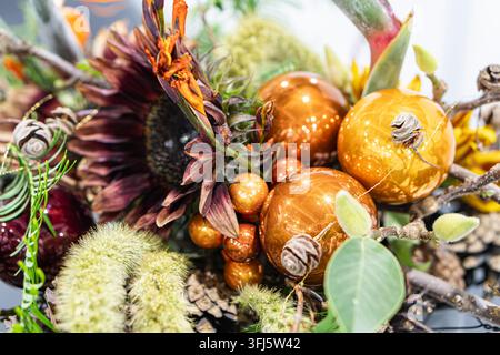 Festive arrangement of glossy amber baubles with dried sunflowers and ornamental flowers, creating layered abundance, warm earthy tones, sophisticated Stock Photo