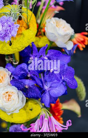Colorful bouquet featuring purple orchids, white roses, carnations, and other vibrant flowers in a textured container on dark background, bright even Stock Photo