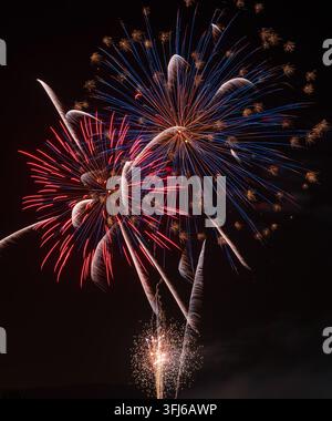 Red, blue and golden fireworks create vivid overlapping bursts and sweeping trails against a dark night sky. Stock Photo