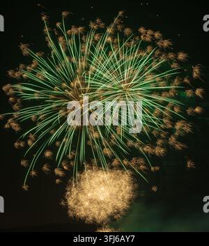 Brilliant green and golden fireworks create a dense burst of sparkling trails against the dark night sky. Stock Photo