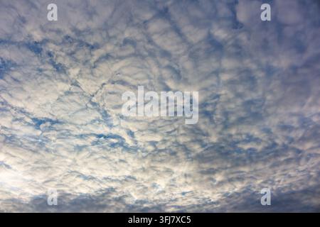 Captivating mackerel sky filled with white fluffy cloud layers drifting across the vast blue atmosphere, creating a peaceful and dramatic pattern perf Stock Photo