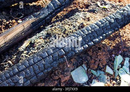 Charred wooden logs with rusty nails lie amidst ash, debris and broken glass fragments on the ground, showcasing a gritty aftermath of a fire disaster Stock Photo