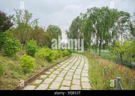 Slate stone path in overcast park leading to distant willow forest Stock Photo