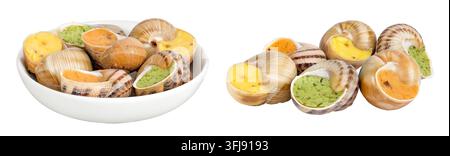 escargot snail filled with different fillings in ceramic bowl isolated on white background Stock Photo