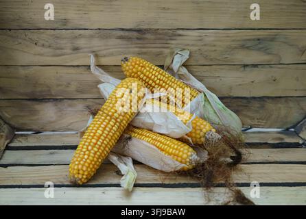 Ripe yellow corn cobs arranged on rustic wooden boards Stock Photo