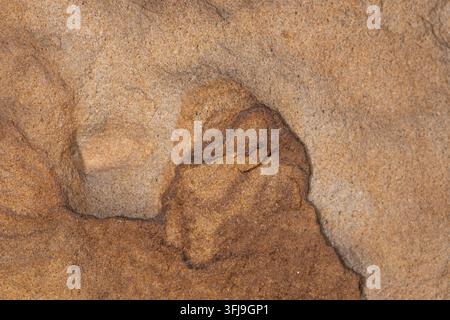 Natural sandstone surface displaying layered textures, erosion patterns and warm earthy tones. Suitable as a geological background or natural texture Stock Photo