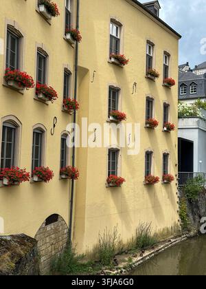 Historic yellow building facade adorned with vibrant red flowers in window boxes alongside a river. Historic yellow building facade decorated with vib Stock Photo
