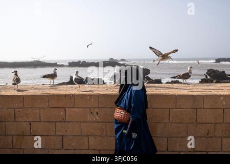A woman in a blue robe stands on a brick wall, watching seagulls fly over the ocean. Stock Photo