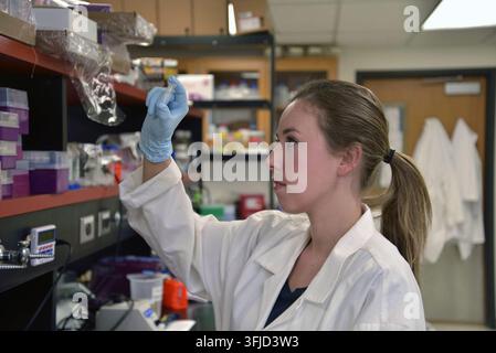 Lawrence; Kansas - Jan 16; 2016: A young female research student looking at a flask in the science laboratory. Editorial. Stock Photo