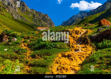 A stunning mineral-rich waterfall cascades over yellow rocks in Kyrgyzstan. Surrounded by green grass and rugged mountains under a clear blue sky, thi Stock Photo