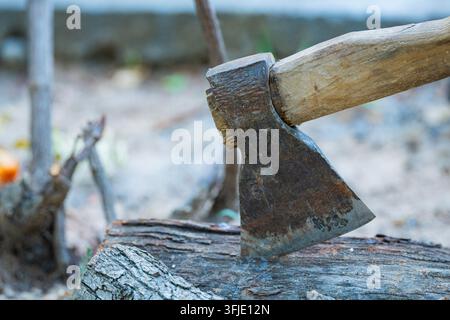 Old rusty axe stuck in a wooden log in the backyard. Concept of wood chopping, forestry, rural work and preparation of firewood for winter Stock Photo