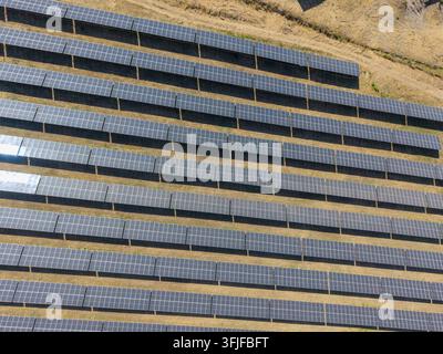 Solar panels in orderly rows fill dry field, forming utility scale array. Aerial view shows photovoltaic modules aligned across sunlit ground, creatin Stock Photo