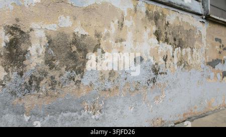 Close-up view of an old weathered concrete wall featuring peeling paint, dark mold stains, cracks, and distressed surface textures. Stock Photo