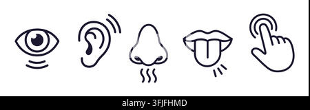 Set of line icons of the five human senses: sight, smell, hearing, touch, taste. Simple cartoon outline vector illustration. Stock Vector
