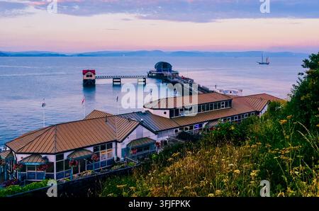 Elevated view over Mumbles Pier at dusk, wooden lifeboat station and Victorian pier structures reaching into calm Swansea Bay beneath a pink sky Stock Photo
