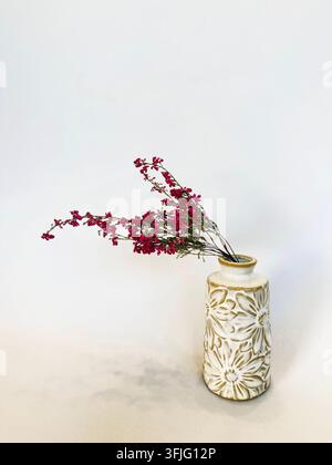 Delicate Pink Dried Flower Branches Arranged in an Embossed Ceramic Vase Against a Pale Neutral Background Stock Photo