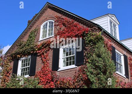 traditional two story brick house with vines in fall colors Stock Photo