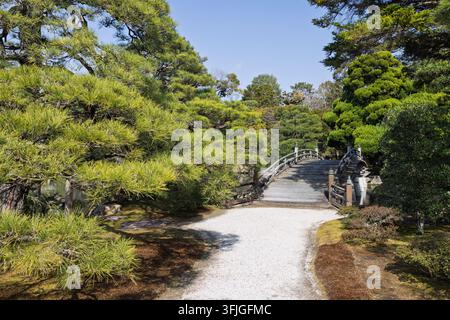 A pale gravel path curves toward a small arched wooden bridge beneath dense pine trees in a peaceful Japanese garden. Stock Photo