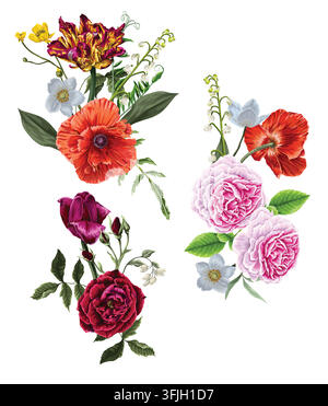 Colorful Botanical Flower Bouquets with Roses Poppies Tulips and Wildflowers on White Background Stock Vector