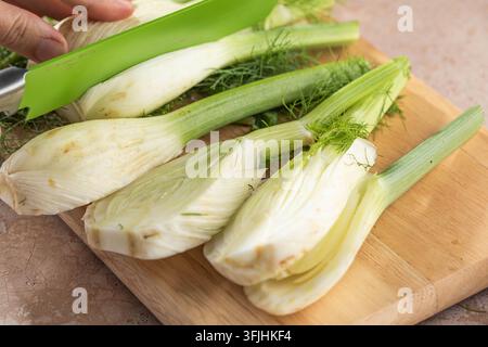 Fresh Florence fennel bulbs or Fennel bulb cutting on board Stock Photo