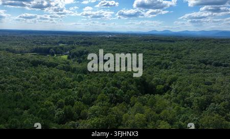 Slow flight over green forest tree landscape on suns. Day with flies in America. Pond and suburb neighborhood in Virginia, USA. Blue ridge mountain in Stock Photo