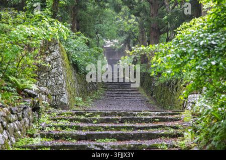 Ancient stone walkway through lush green forest on Mt. Daisen in Tottori, Japan Stock Photo