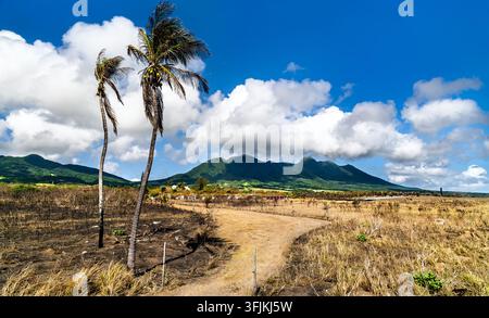 Rural landscape in Christ Church Nichola Town Parish in Saint Kitts and Nevis featuring palm trees, a dirt path, and lush mountains under a cloudy blue sky. Stock Photo