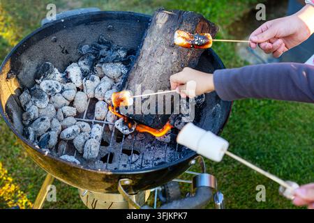 Roasting Marshmallows Over Charcoal Grill. Hands roast marshmallows on wooden skewers over hot charcoal, flames and a burning log in an outdoor grill. Stock Photo