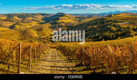 Scenic panoramic view of a dirt path through golden autumn vineyards on rolling hills under a bright blue sky with clouds in Piedmont, Italy. Stock Photo