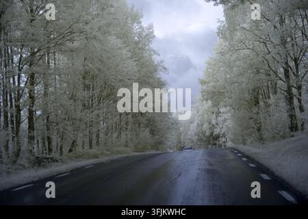 A road runs through a landscape filled with trees, captured using an infrared filter. The scene displays shades of light and dark due to the near-infr Stock Photo