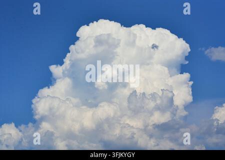 Large white cumulus cloud developing against a bright blue sky over Sila National Park, Calabria, Italy. Stock Photo
