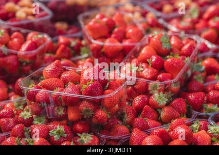 Fresh ripe big red strawberries with green leaves in a plastic container or box in a fruit and vegetable street market, close up Stock Photo