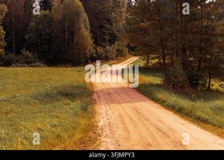 Winding dirt autumn road through green fields and a dense forest. Stock Photo