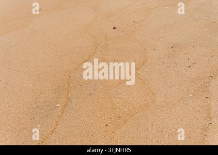 Top angle close up view of fine golden sand texture on beach with delicate wave lines created by ocean water in bright daylight. Stock Photo