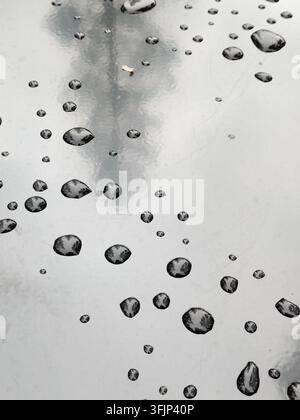 Close-up view of clear water droplets scattered across a smooth grey reflective surface, creating fascinating miniature reflections of trees and an ov Stock Photo