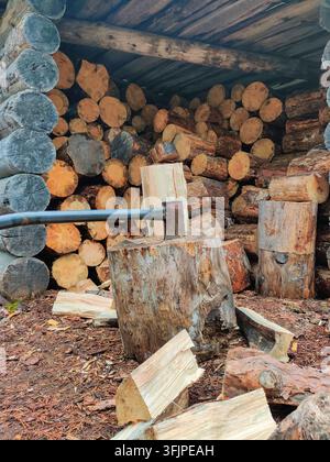 An axe stuck in a chopping block with split firewood pieces scattered around on the ground in front of a large stacked pile of logs under a wooden she Stock Photo