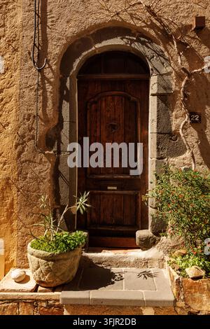 Dark arched wood door framed by a carved stone archway and potted green plants in a sunlit historic building facade. Stock Photo