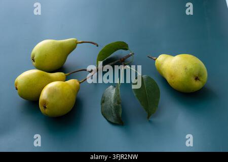 Four ripe yellow pears are arranged with a small branch and green leaves on a deep teal surface, forming a balanced seasonal fruit still life. Stock Photo