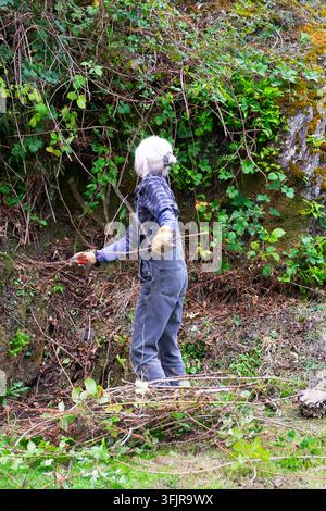 Rear vack view of senior older woman gardener wearing dungarees clearing brambles from stone wall in garden rural Wales UK Great Britain KATHY DEWITT Stock Photo