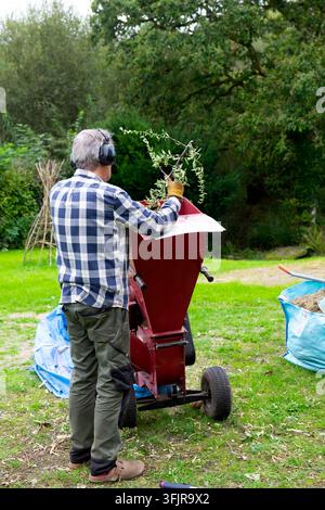 Older man working in garden using a shredding machine shredder to shred pyrecantha branches clippings to use as mulch in autumn Wales UK  KATHY DEWITT Stock Photo