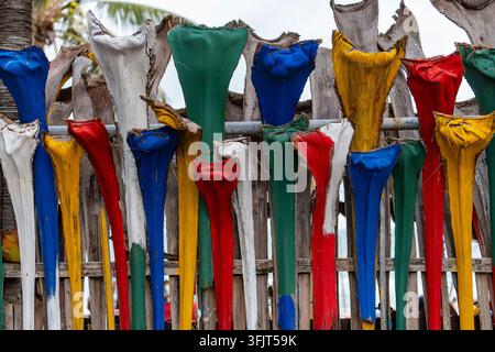 Colorful painted palm tree branches on wooden fence. Creative decorative wall featuring dried palm tree fronds and leaves painted in bright primary co Stock Photo