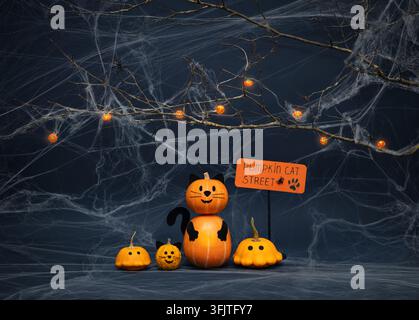 Halloween cute pumpkins on a dark blue background with a spiderweb. Pumpkin cat street. Halloween holiday decorations. Copy space. Stock Photo